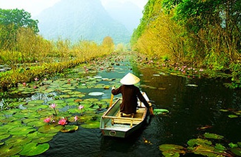 Vibrant Vietnam
